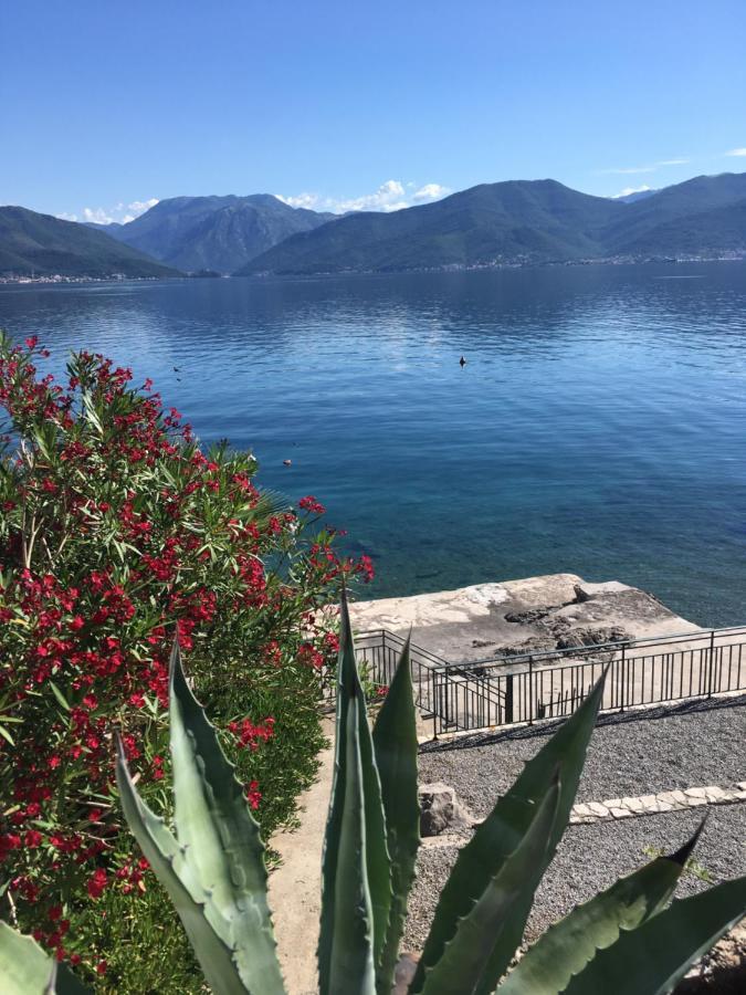 Apartment Tri Kiparisa Tivat Zewnętrze zdjęcie